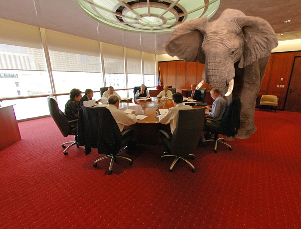 elephant-in-the-room